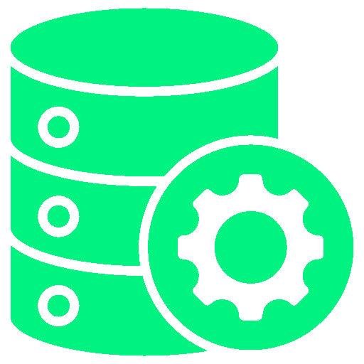 Data Query Solutions Icon